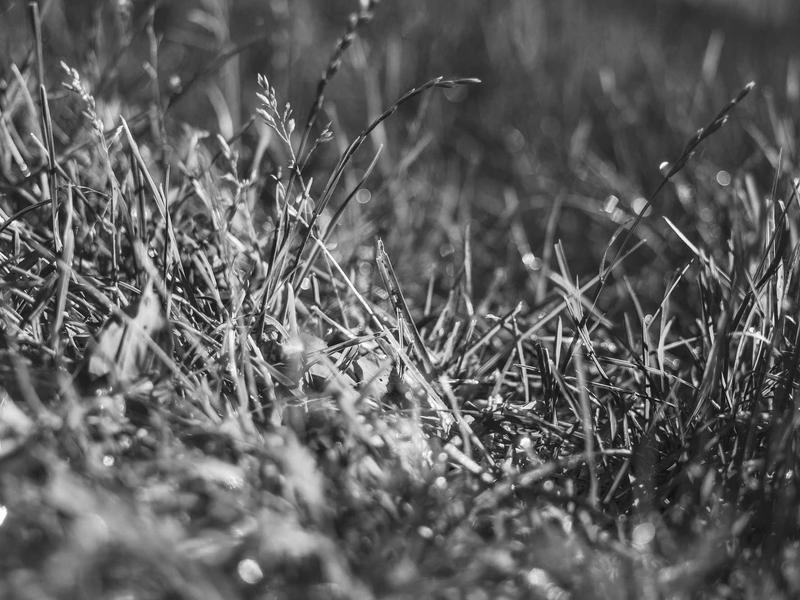 sudoku tips screenshot 4